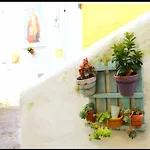 Forio Green House