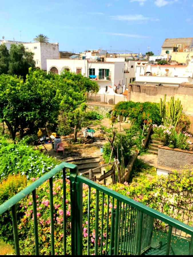 Forio Green House * Ischia