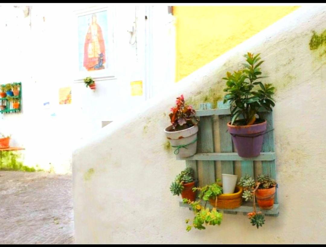 Forio Green House Ischia