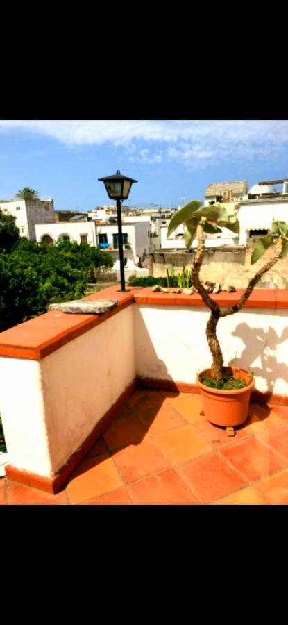 Forio Green House Appartement
