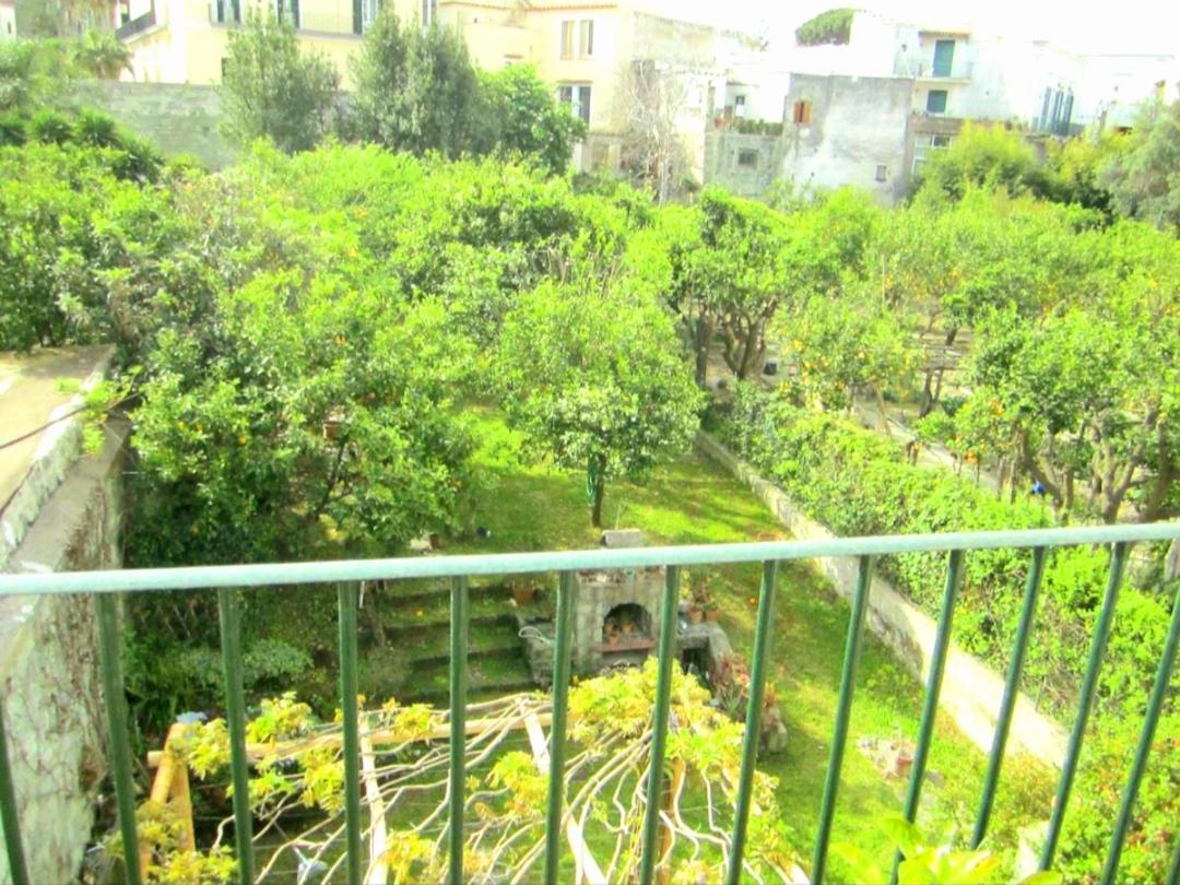 Forio Green House * Ischia