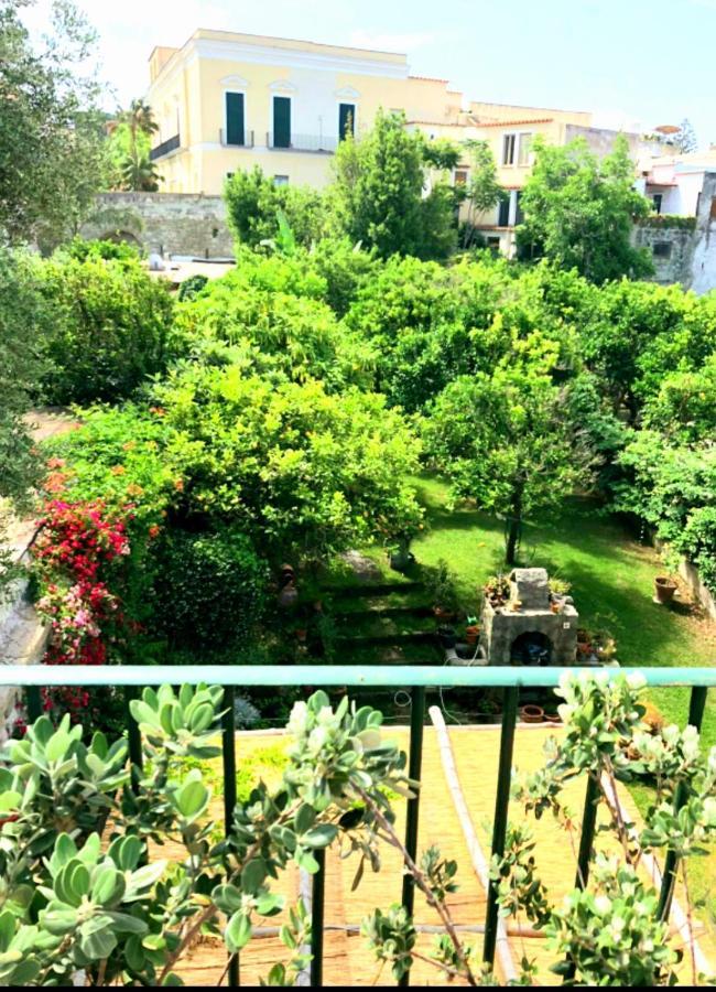 Appartement Forio Green House Ischia