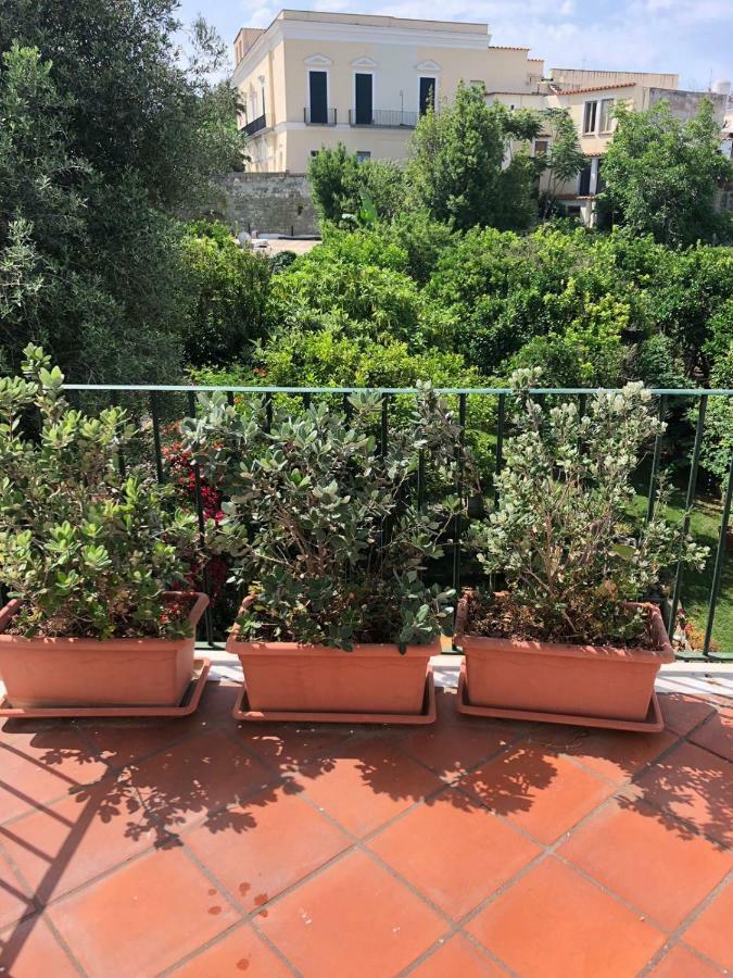 Forio Green House Appartement Ischia
